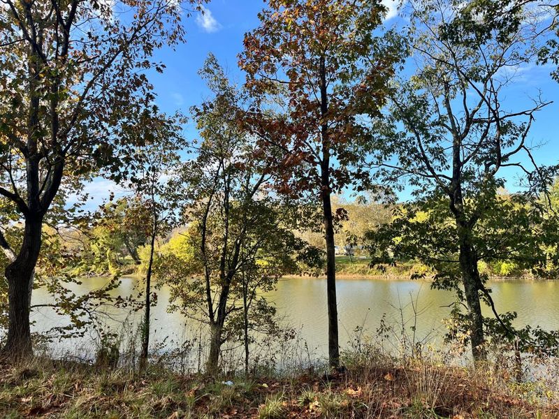 7979 Old River Road, Philo, OH 43771 Photo 31