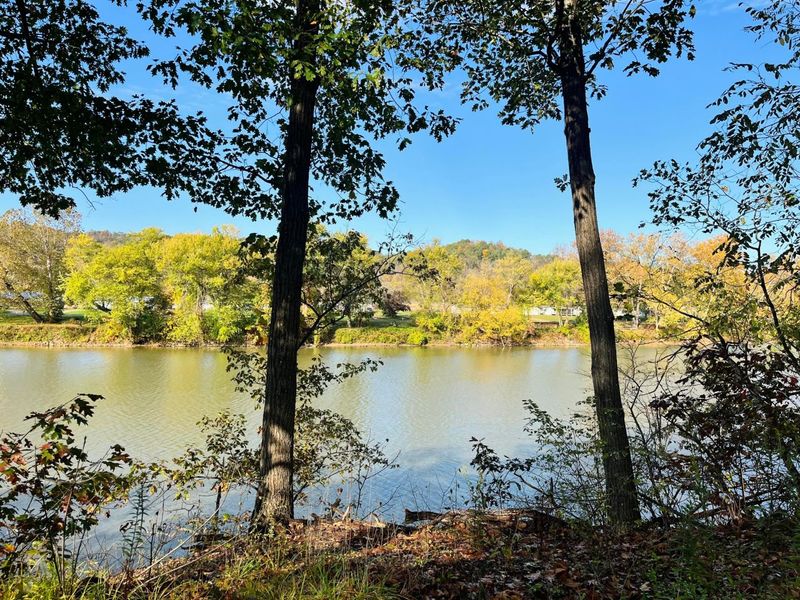 7979 Old River Road, Philo, OH 43771 Photo 32