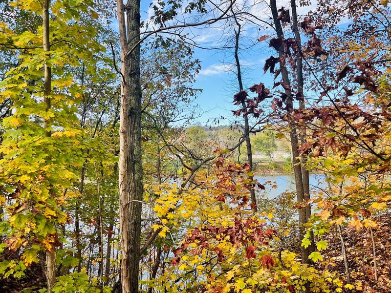 7979 Old River Road, Philo, OH 43771 Photo 33