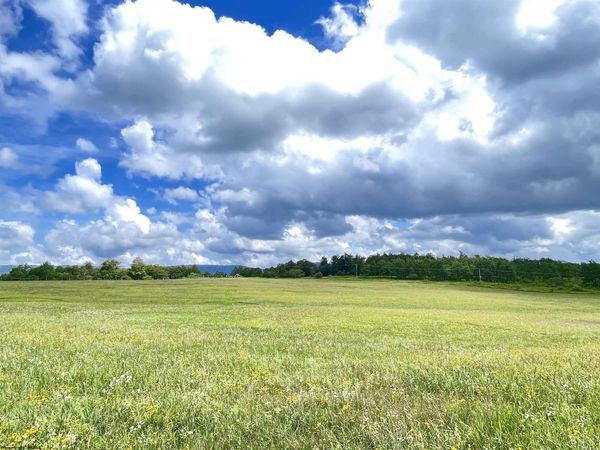 Lot A Cortland Road, Davis, WV 26260