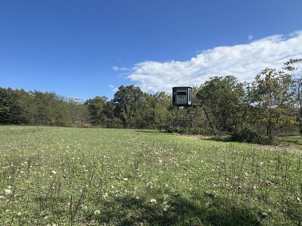 534 Monterrey Road, Highlandville, MO 65669