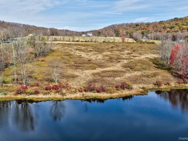 TBD Meadow Lane, Fremont, NY 12736