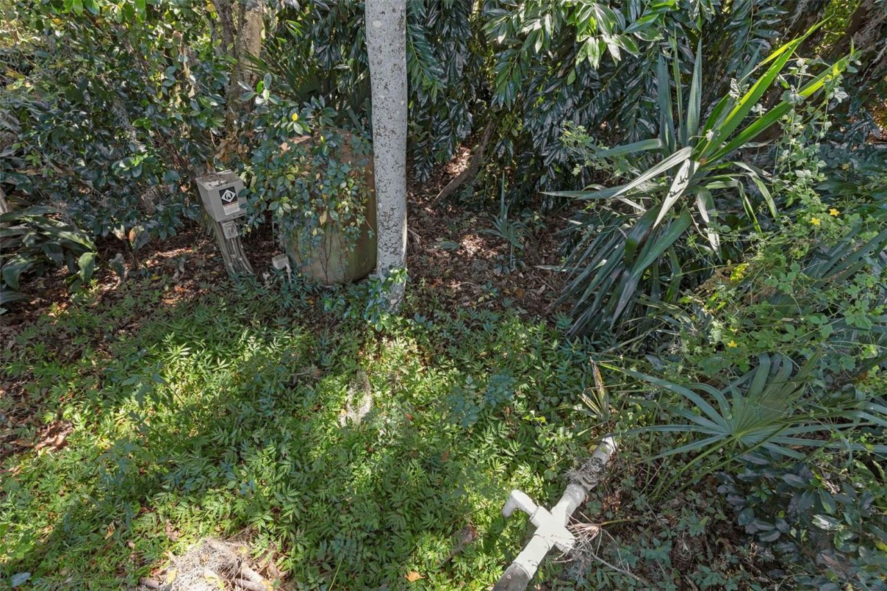 6846 Lake View Drive, Yalaha, FL 34797 Photo