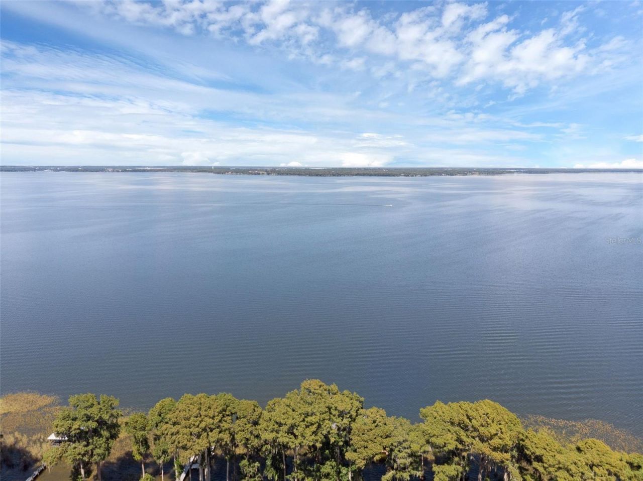 6846 Lake View Drive, Yalaha, FL 34797 Photo