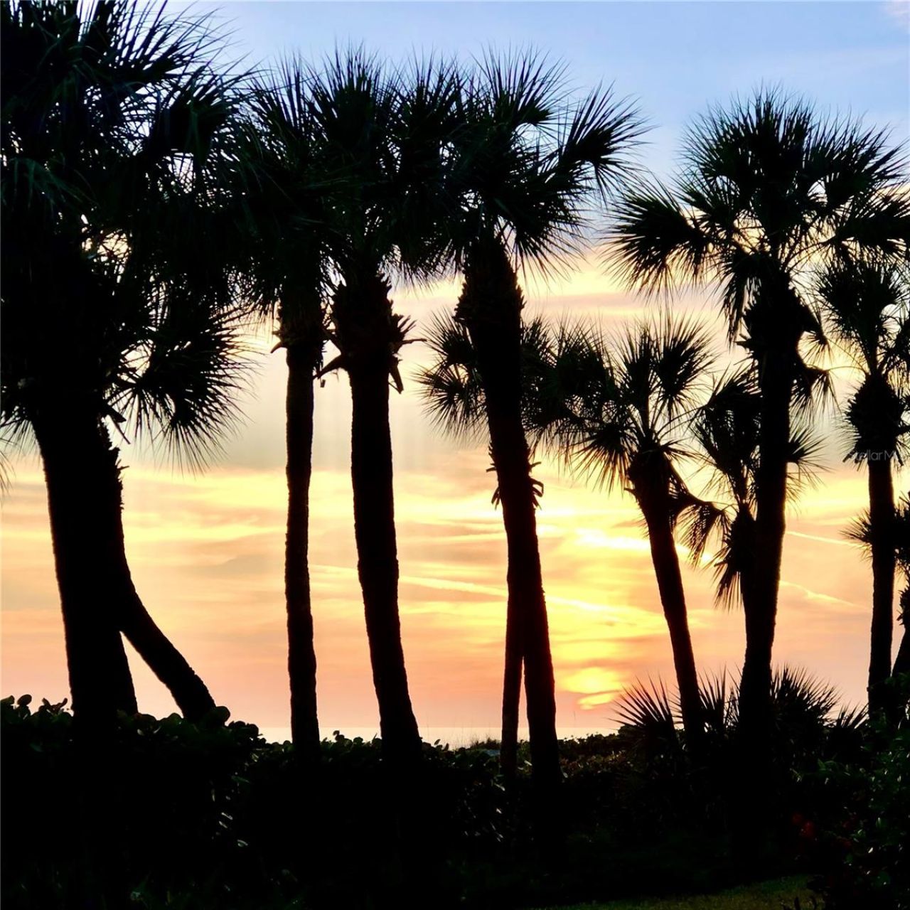 2110 Harbourside Drive, Unit 526, Longboat Key, FL 34228 Photo