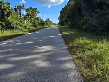 454 NAPLES AVENUE S, LEHIGH ACRES, FL 33974