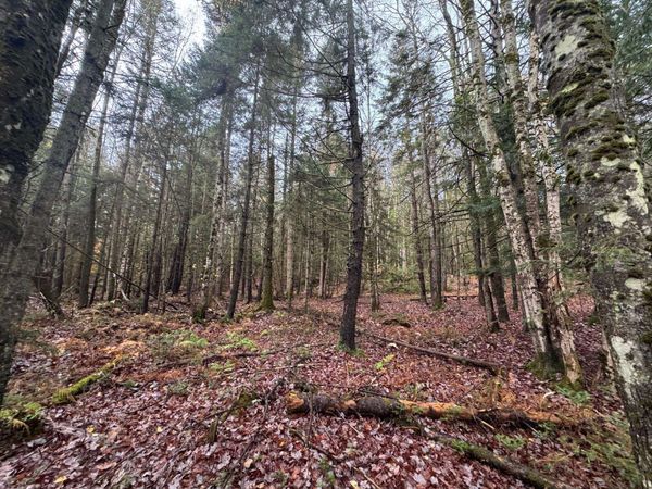 10 Hampshire Hill Road, Worcester, VT 05682