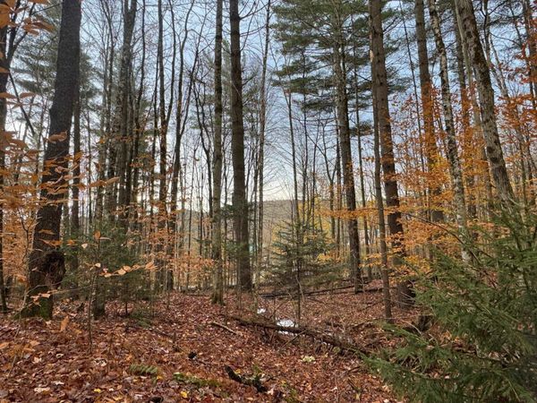 41 E Hampshire Hill Road, Worcester, VT 05682