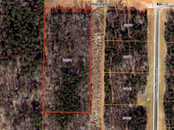 7645 Braelands Drive, Summerfield, NC 27358