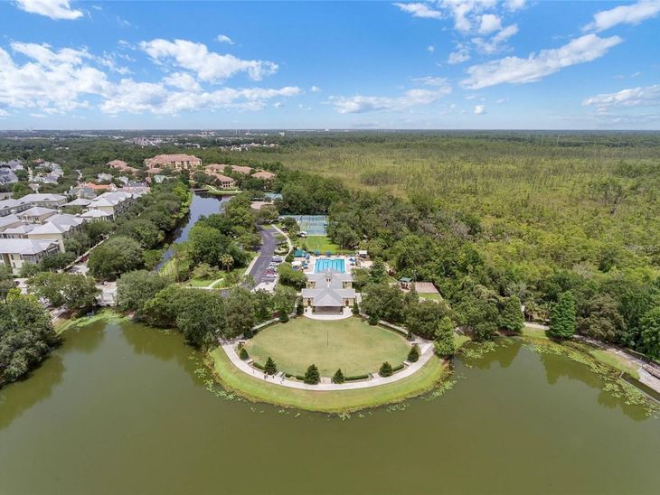 233 Goldenrain Drive, Unit 3104, Celebration, FL 34747