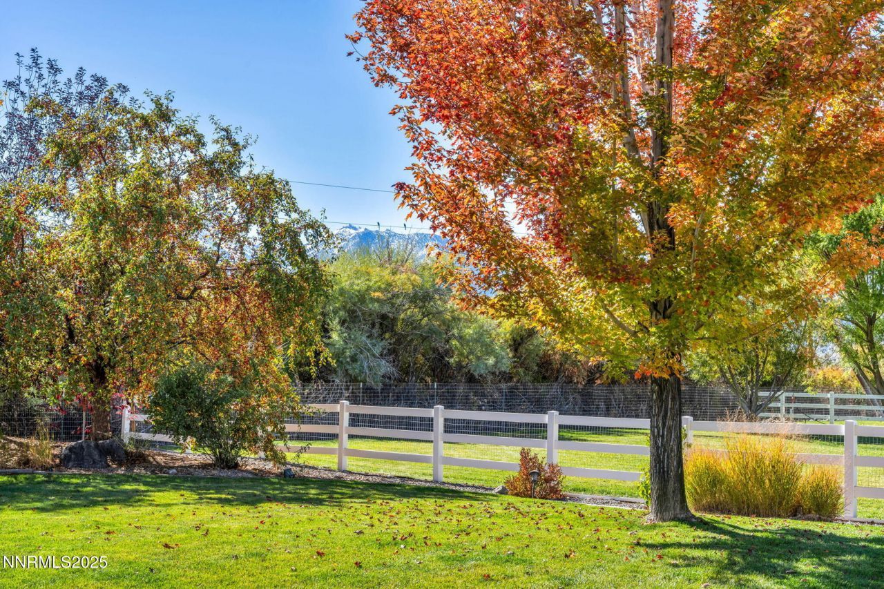 1058 Frieda Lane, Minden, NV 89423 Photo