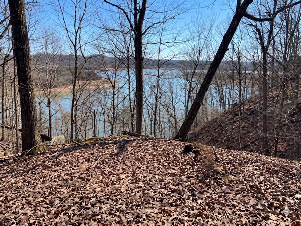 1218 Keetoowah Drive, Mooresburg, TN 37811