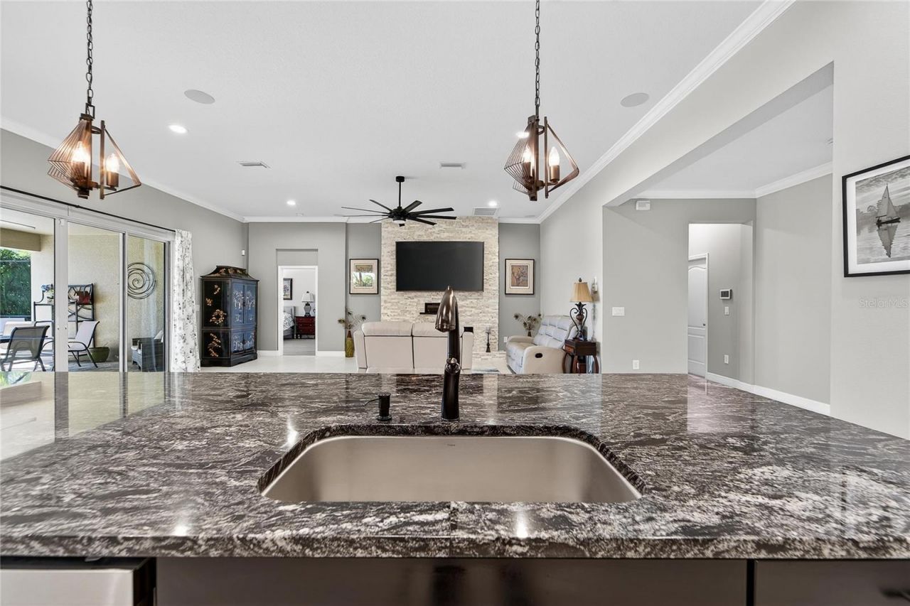 11525 Lake Lucaya Drive, Riverview, FL 33579 Photo