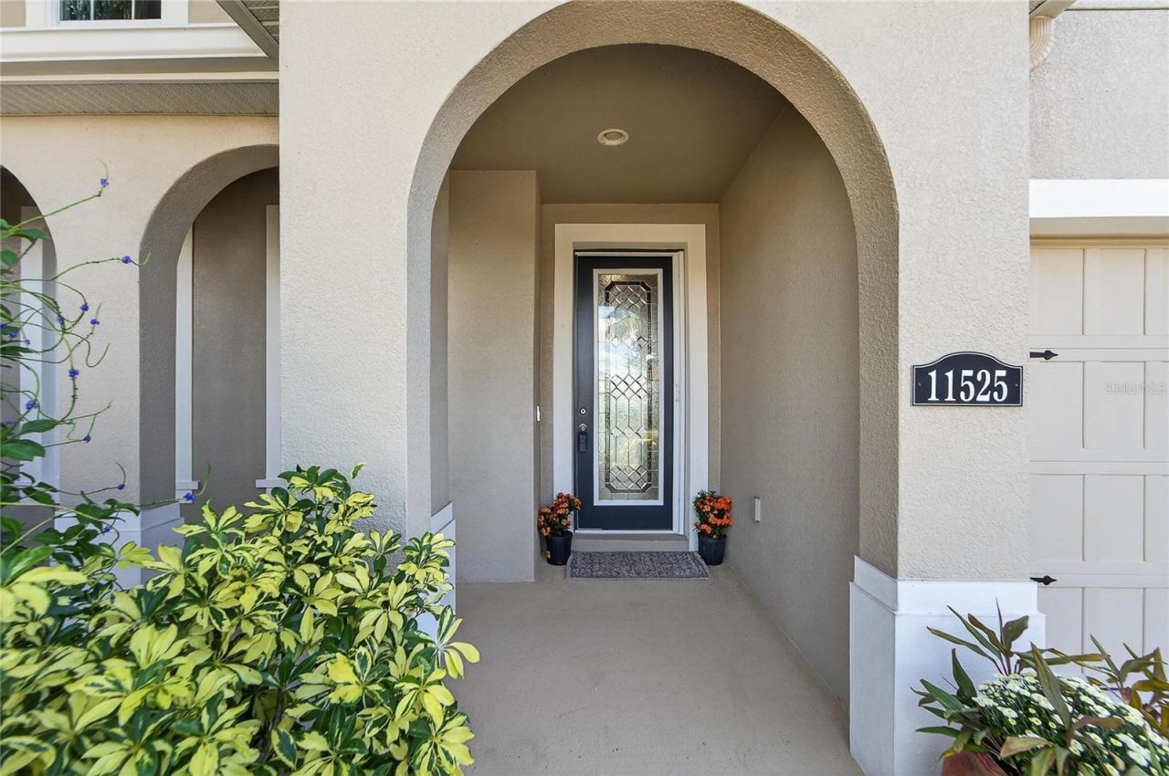 11525 Lake Lucaya Drive, Riverview, FL 33579 Photo