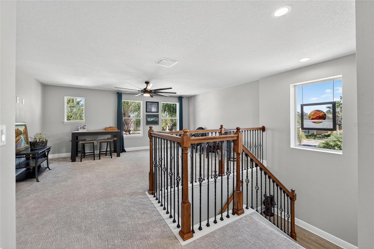 11525 Lake Lucaya Drive, Riverview, FL 33579 Photo