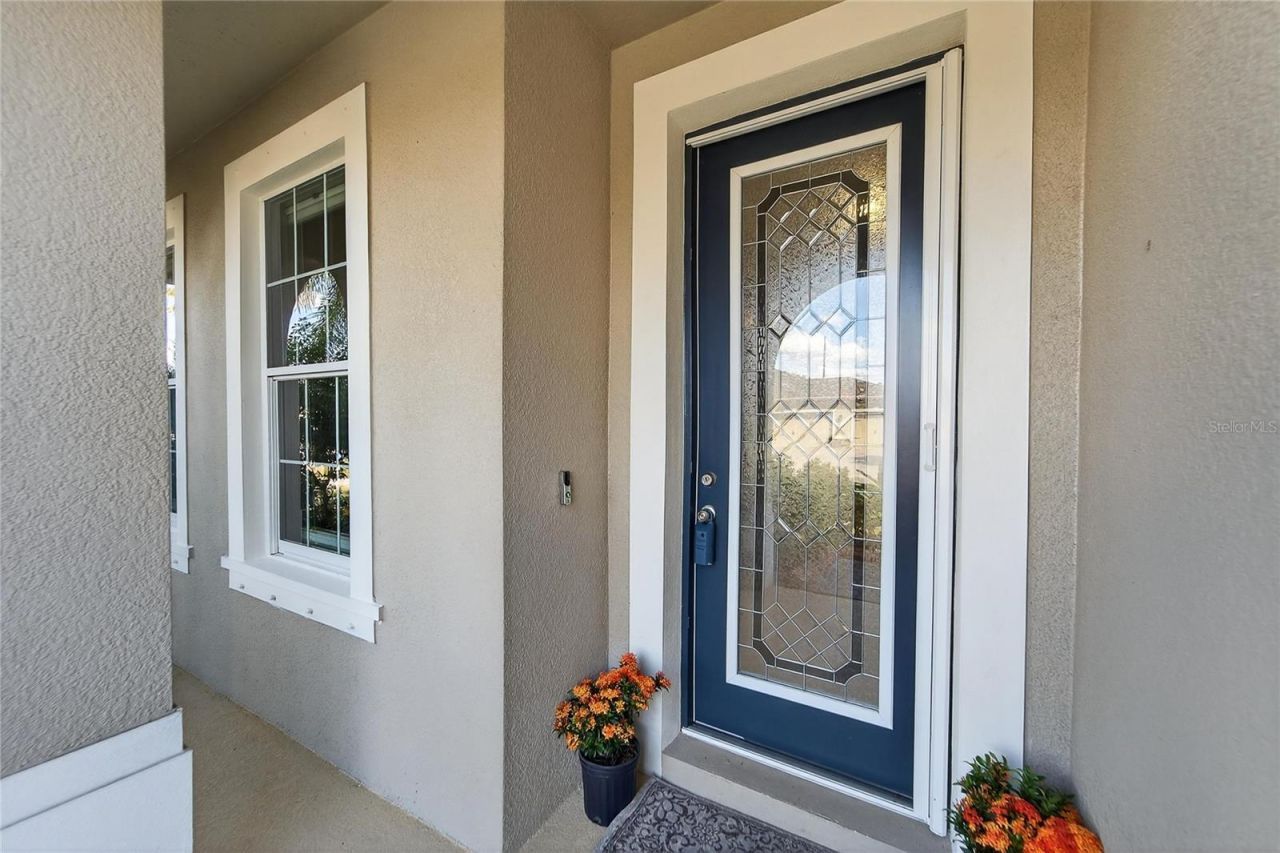 11525 Lake Lucaya Drive, Riverview, FL 33579 Photo