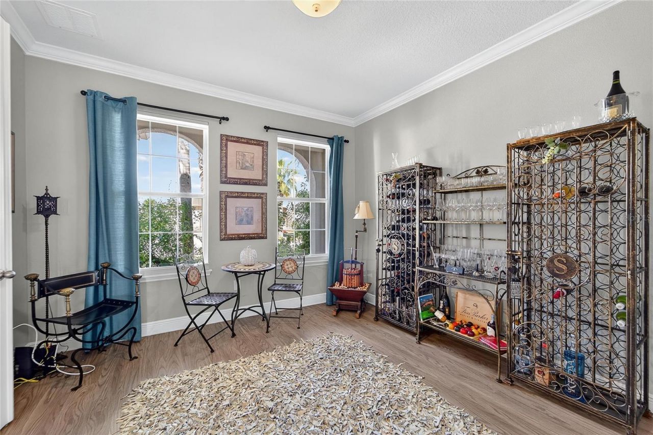 11525 Lake Lucaya Drive, Riverview, FL 33579 Photo