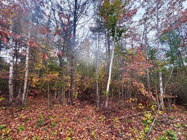 Lot292&293 Pineview Drive, Presque Isle, MI 49777