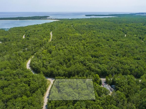 L 292-293 Pineview Drive, Presque Isle, MI 49777