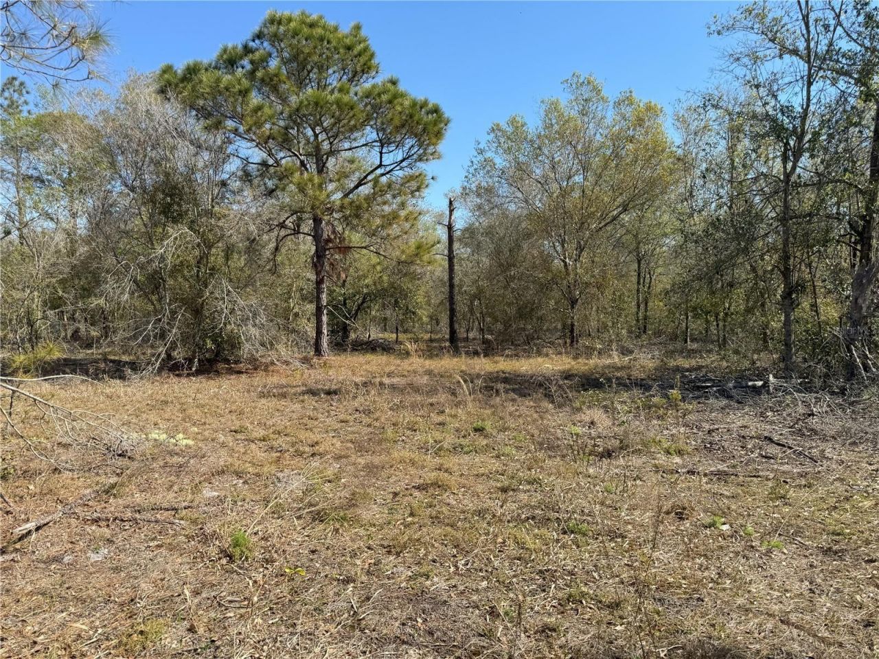 0 Lake Buffum Road, Lake Wales, FL 33859 Photo