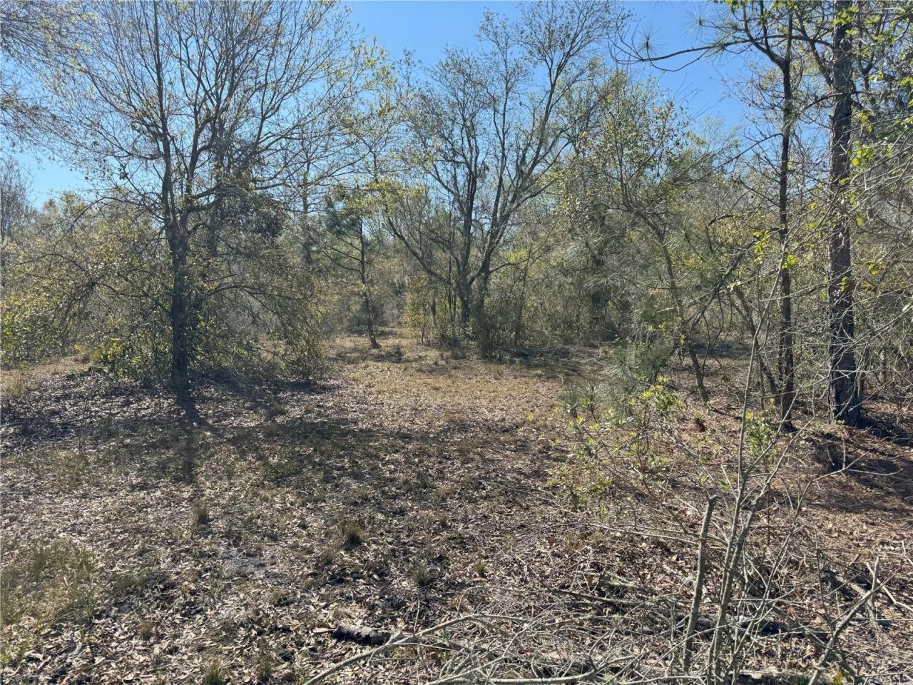 0 Lake Buffum Road, Lake Wales, FL 33859 Photo