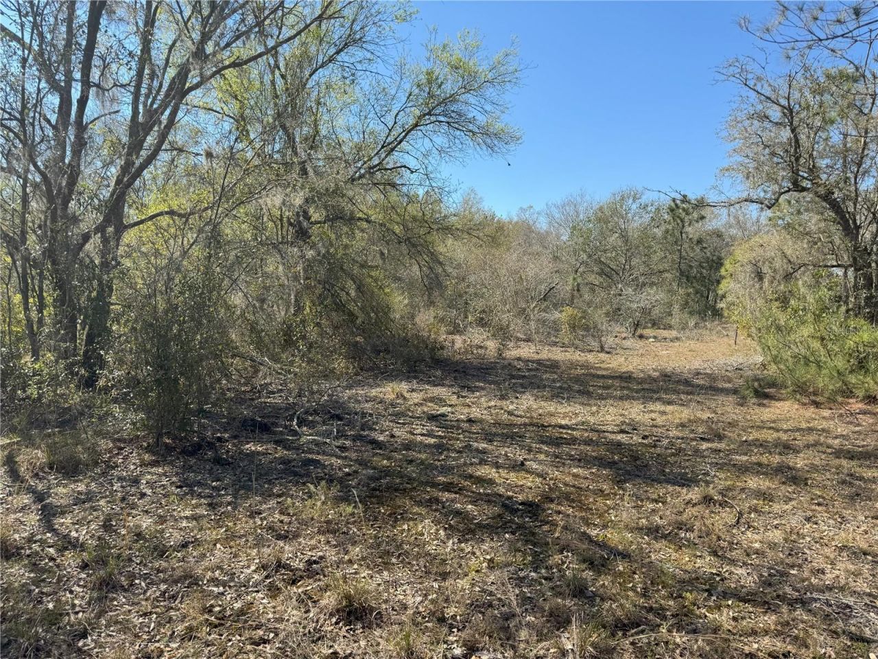 0 Lake Buffum Road, Lake Wales, FL 33859 Photo