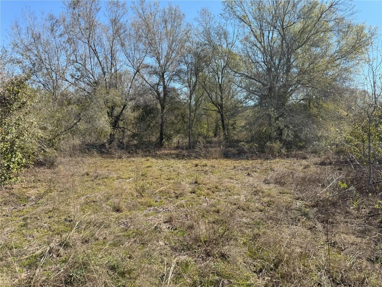 0 Lake Buffum Road, Lake Wales, FL 33859 Photo