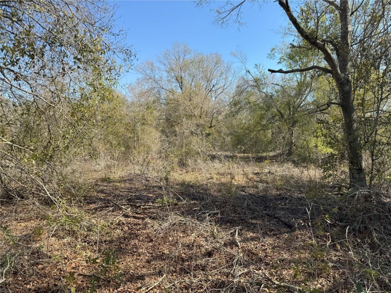0 Lake Buffum Road, Lake Wales, FL 33859 Photo