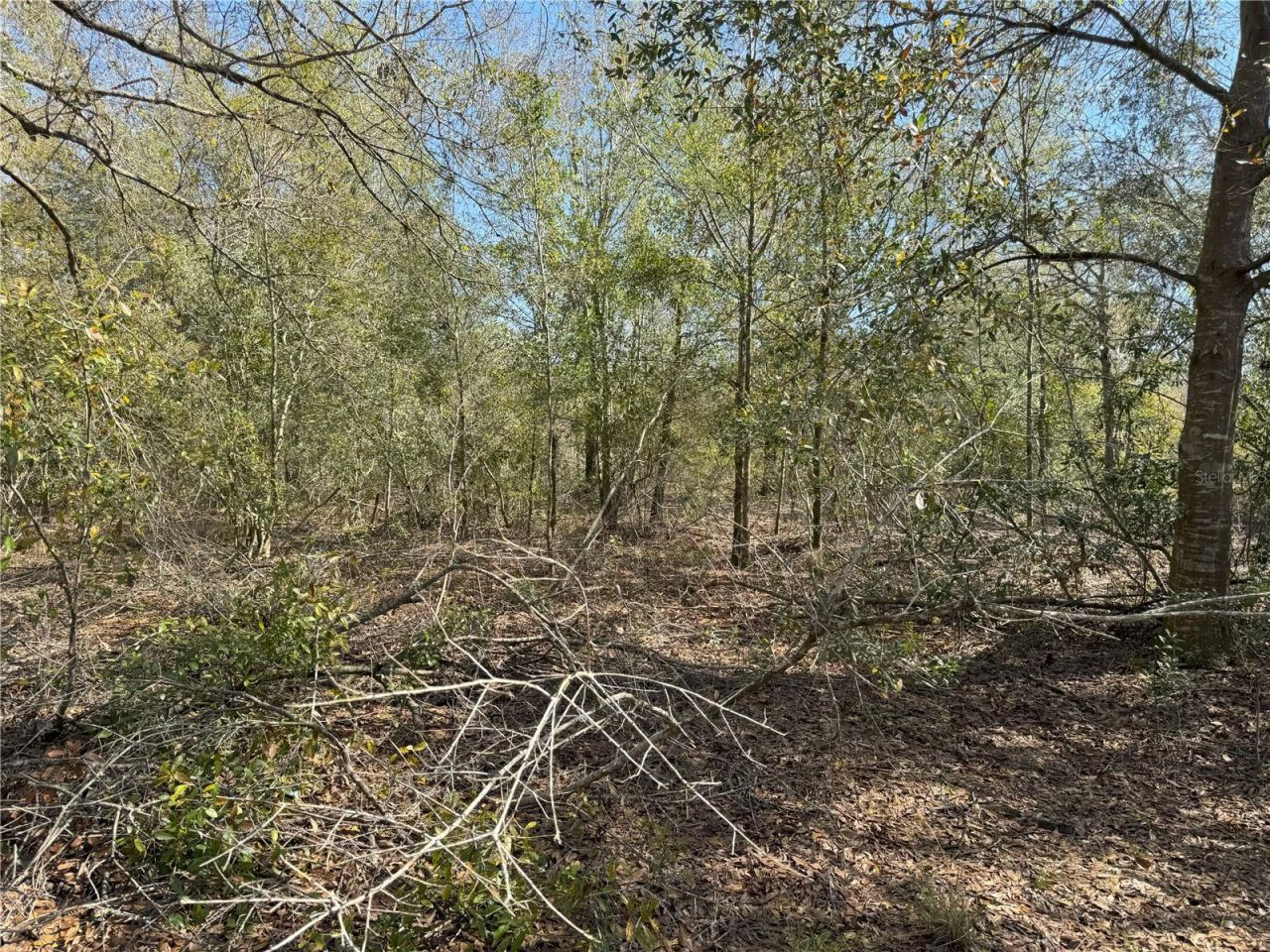 0 Lake Buffum Road, Lake Wales, FL 33859 Photo