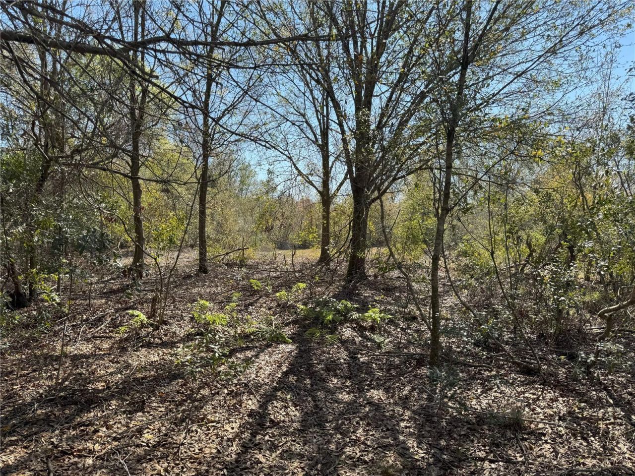 0 Lake Buffum Road, Lake Wales, FL 33859 Photo