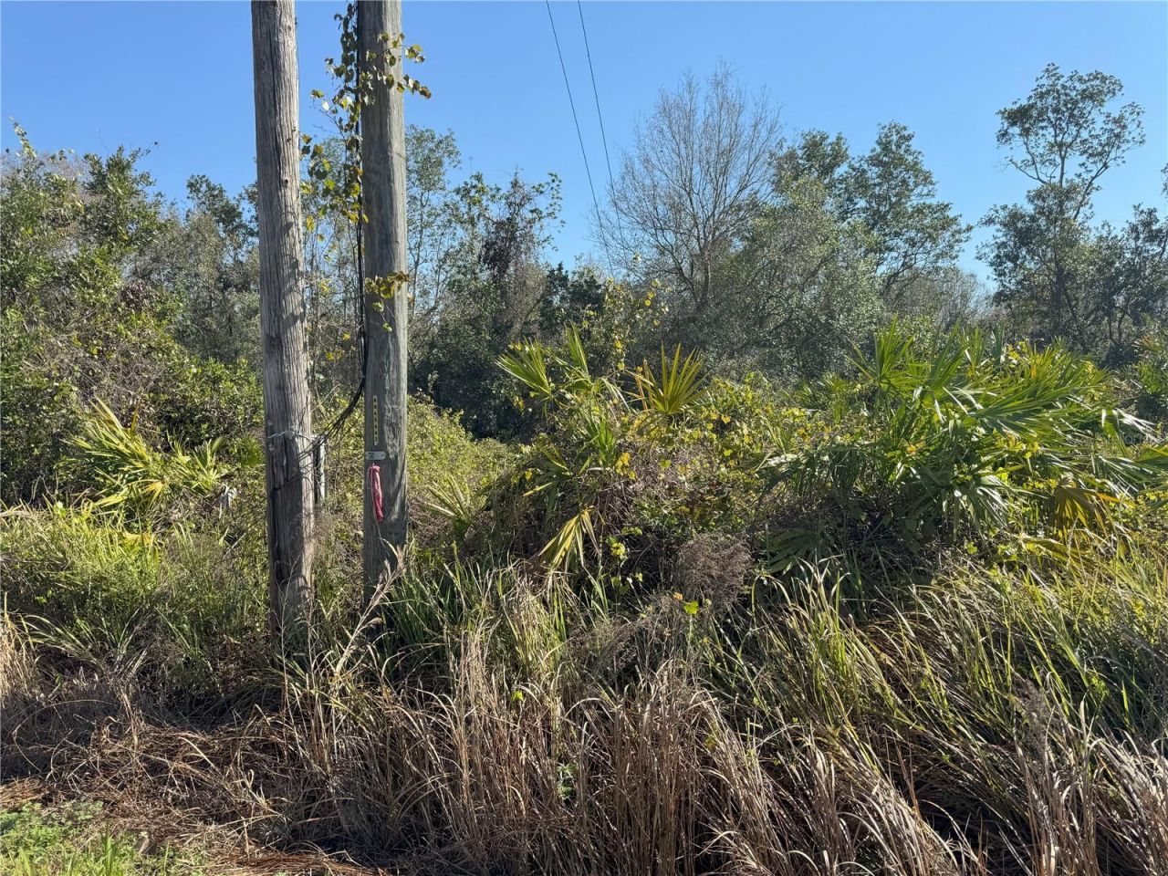 0 Lake Buffum Road, Lake Wales, FL 33859 Photo