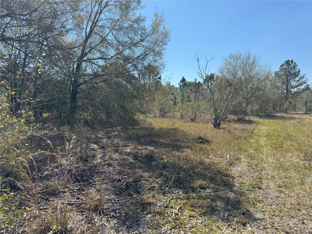 0 Lake Buffum Road, Lake Wales, FL 33859 Photo