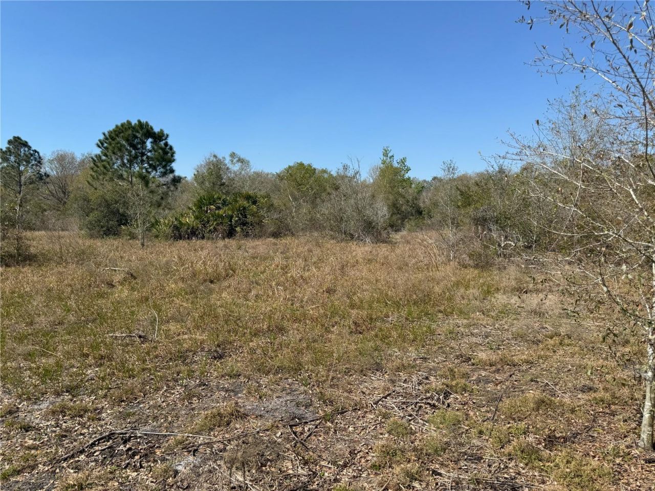 0 Lake Buffum Road, Lake Wales, FL 33859 Photo