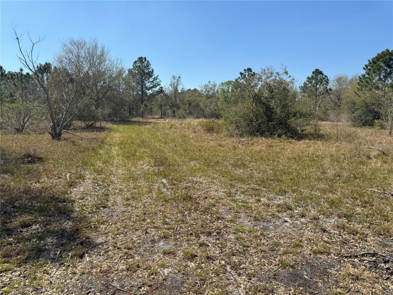 0 Lake Buffum Road, Lake Wales, FL 33859 Photo