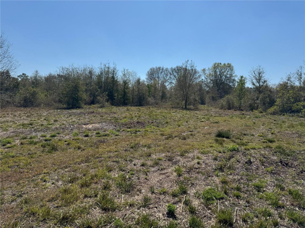 0 Lake Buffum Road, Lake Wales, FL 33859 Photo