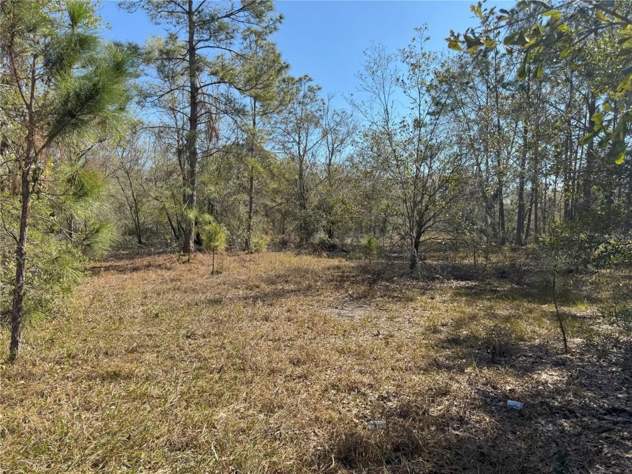 0 Lake Buffum Road, Lake Wales, FL 33859 Photo