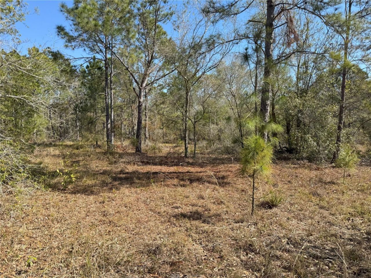 0 Lake Buffum Road, Lake Wales, FL 33859 Photo