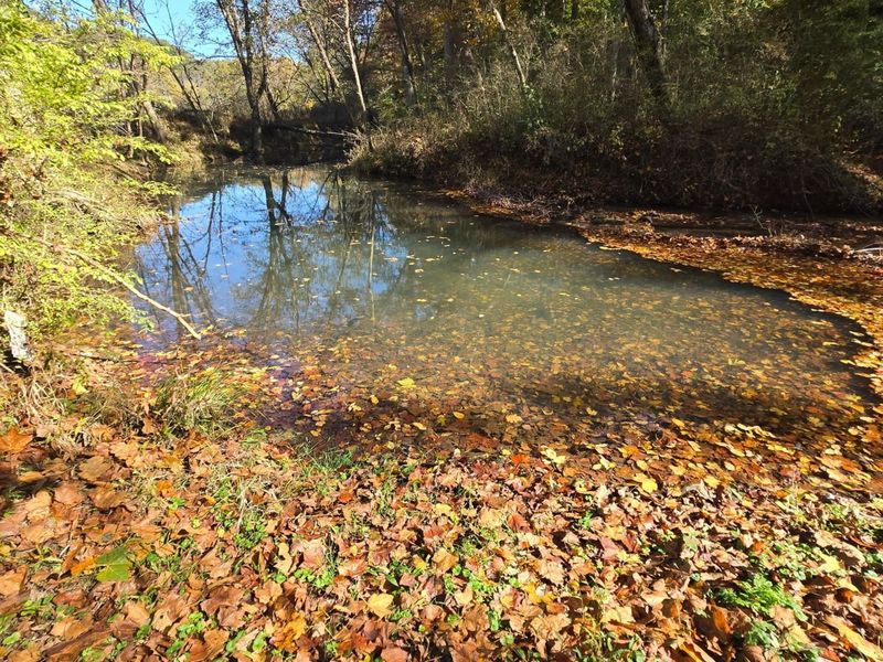 21970 State Route 664, South Bloomingville, OH 43152 Photo 10