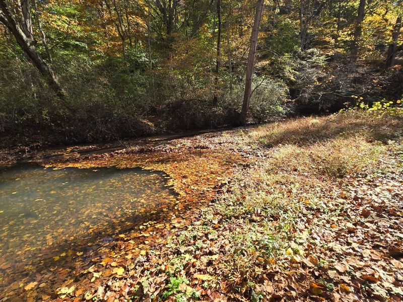 21970 State Route 664, South Bloomingville, OH 43152 Photo 11