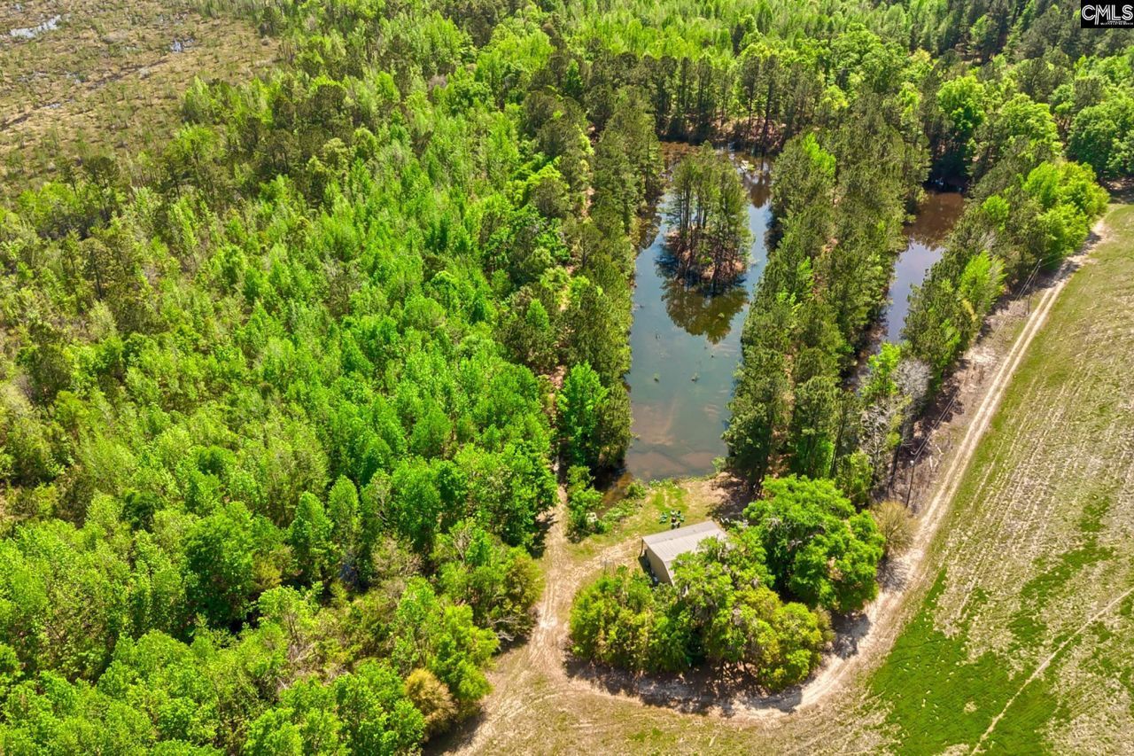 Tbd Alligator Road  Photo 13