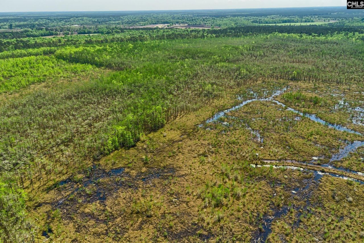 Tbd Alligator Road  Photo 14