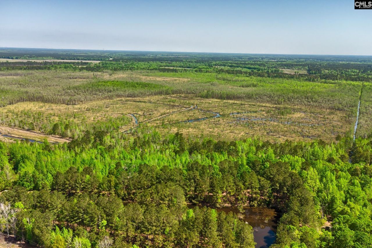 Tbd Alligator Road  Photo 15