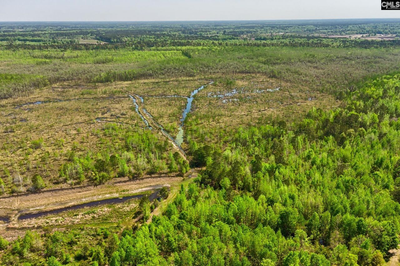 Tbd Alligator Road  Photo 16