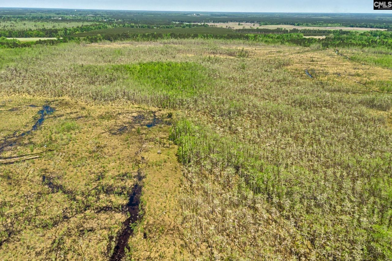 Tbd Alligator Road  Photo 17