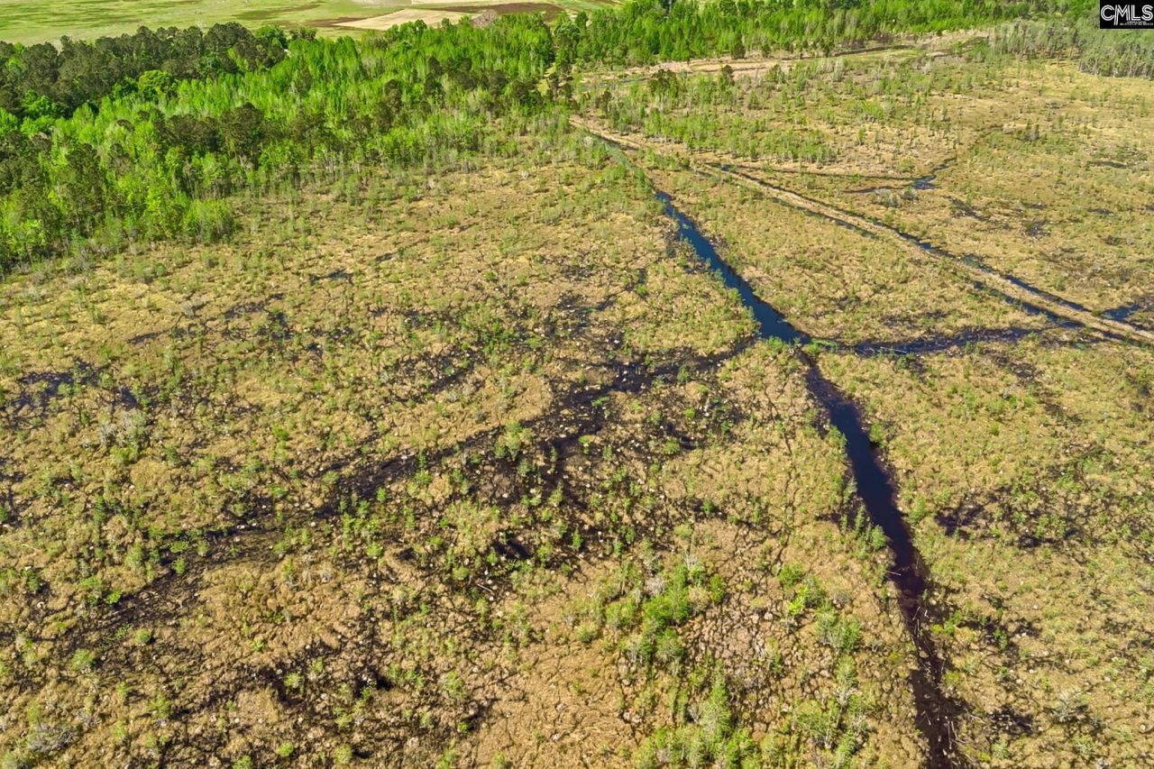 Tbd Alligator Road  Photo 18