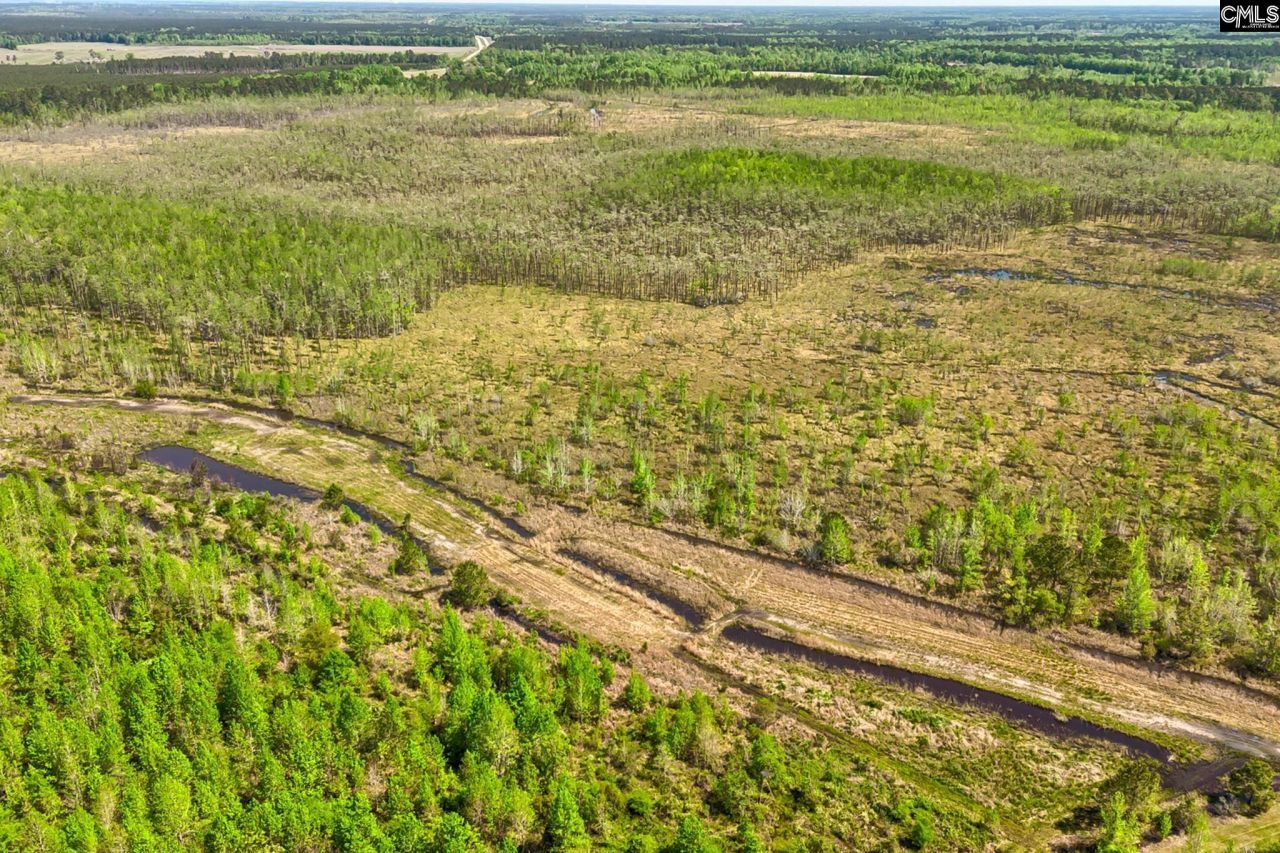 Tbd Alligator Road  Photo 19