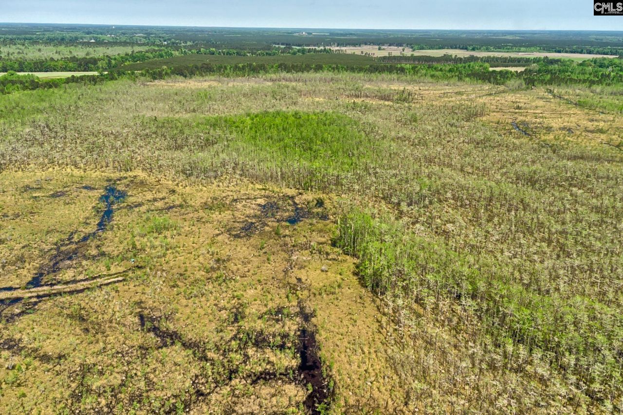 Tbd Alligator Road  Photo 20