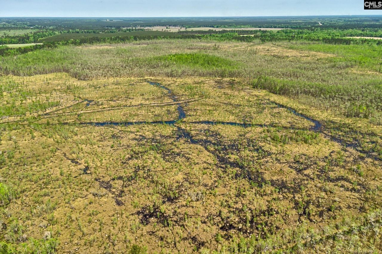 Tbd Alligator Road  Photo 21