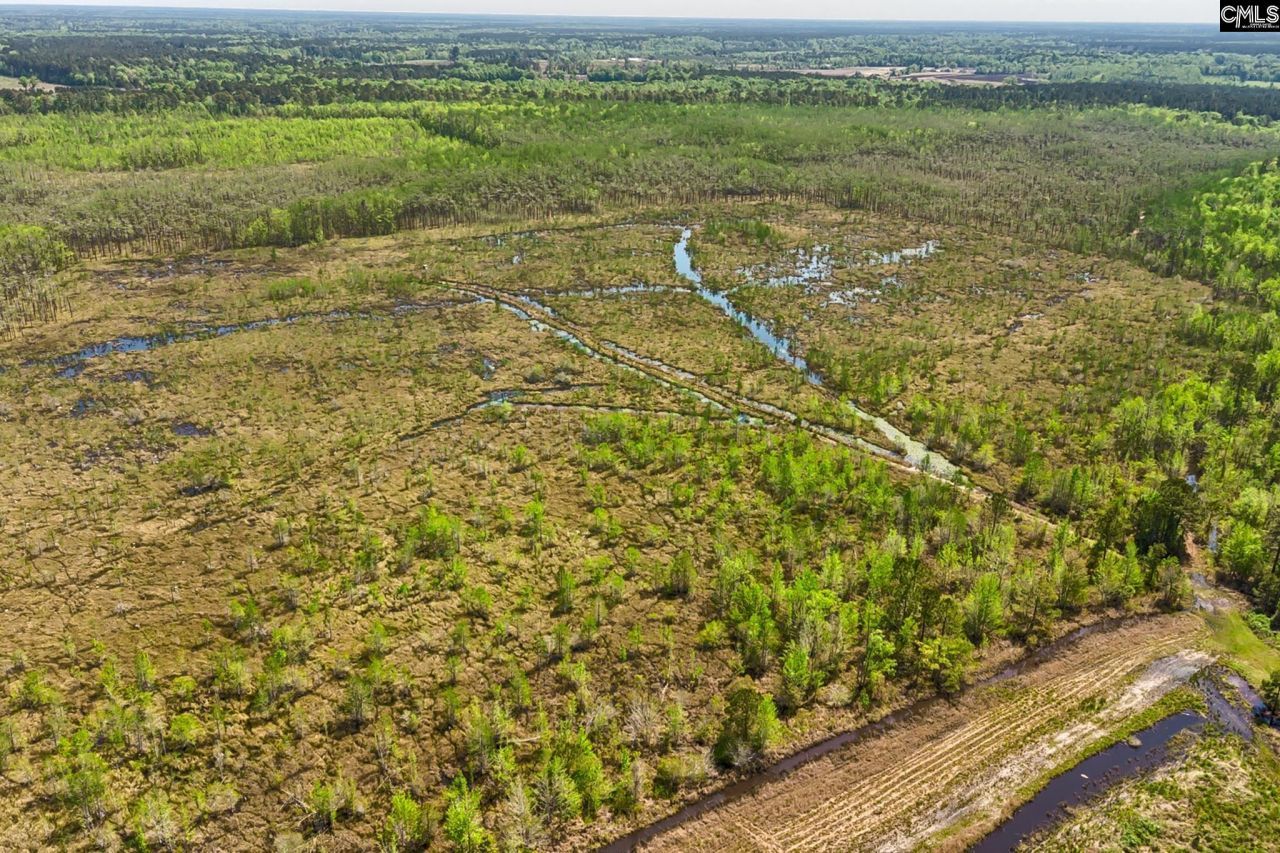 Tbd Alligator Road  Photo 22