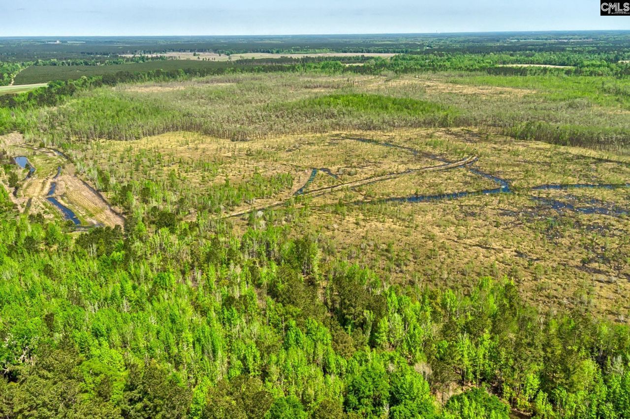 Tbd Alligator Road  Photo 23